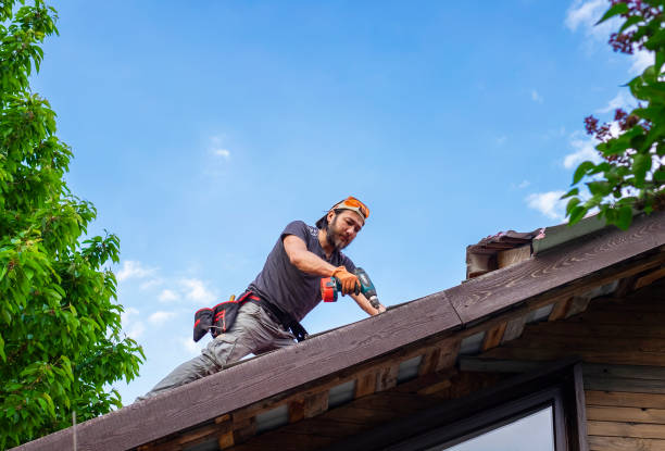 Best Asphalt Shingle Roofing  in Canal Winchester, OH